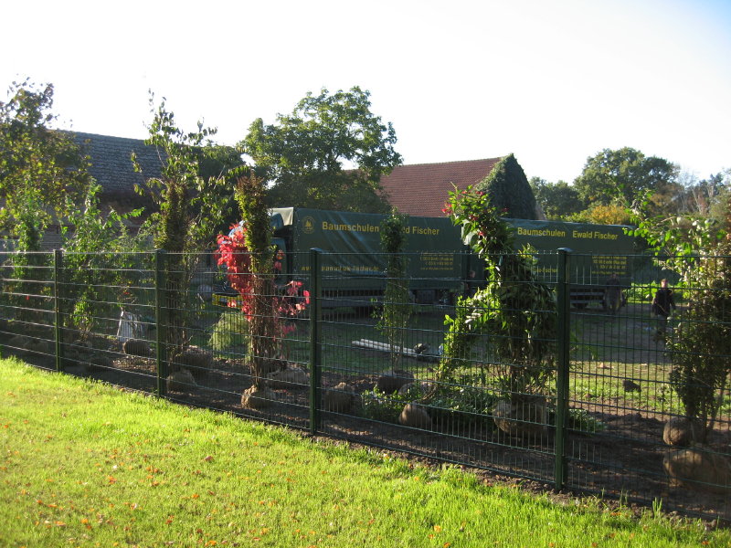 Laubgehölze Baumschulen Ewald Fischer