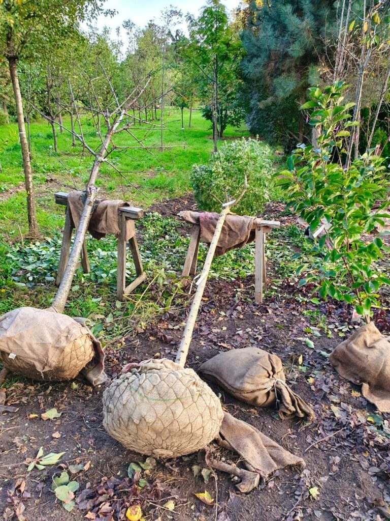 Spaziergang Baumschulen Ewald Fischer